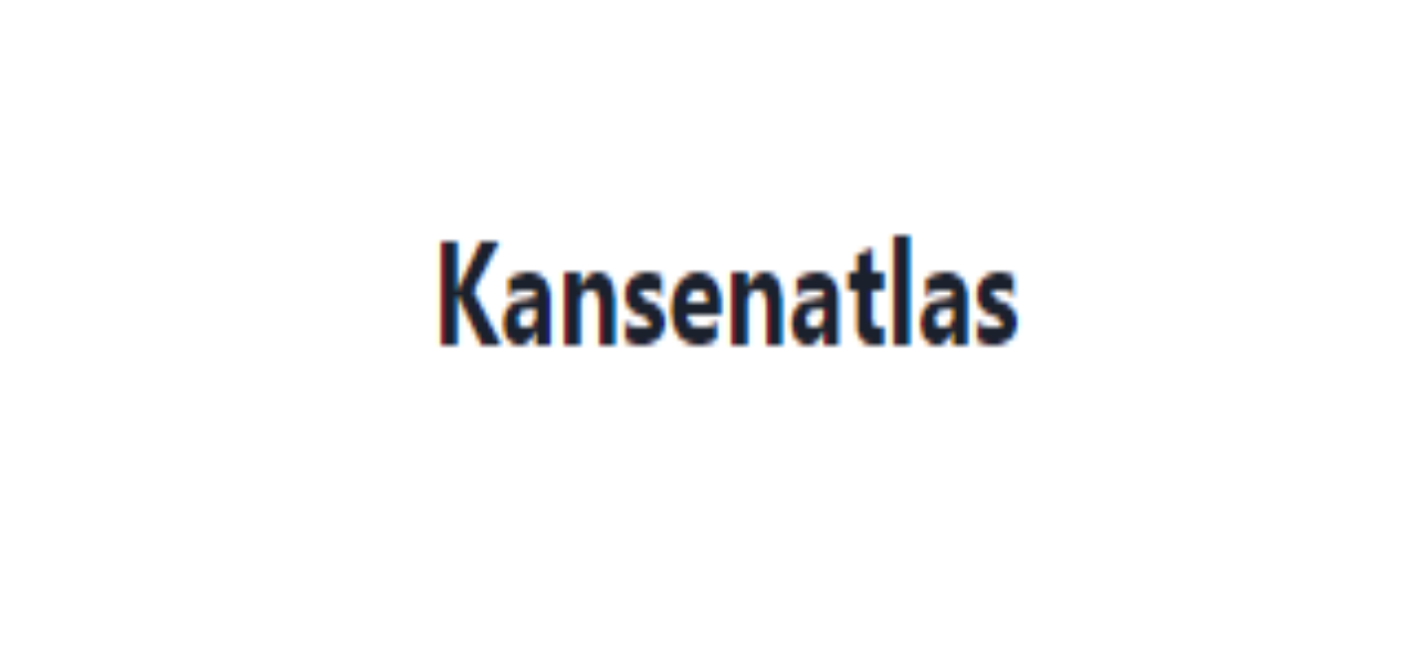 SEO Kansenatlas